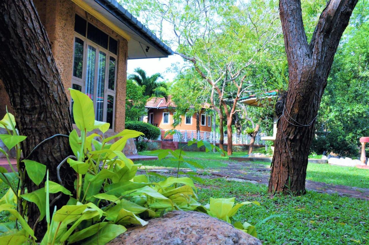Kodigahawewa Forest Resort Tissamaharama Exteriér fotografie